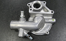 Case (water pump)